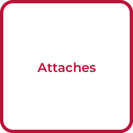 Atta_Attaches