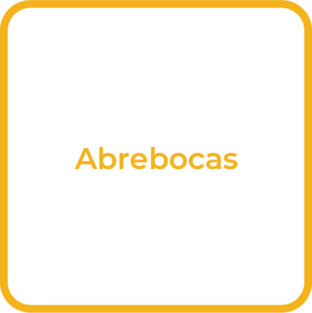 Desc_Abrebocas