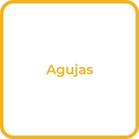 Desc_Agujas