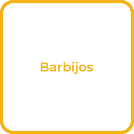 Desc_Barbijos