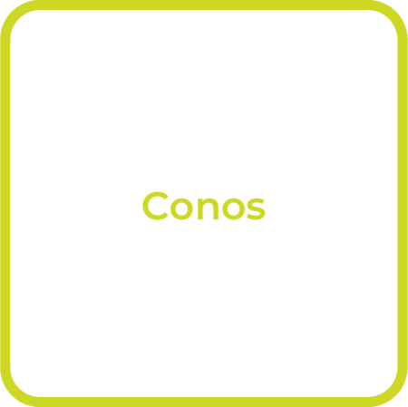 Endo_Conos