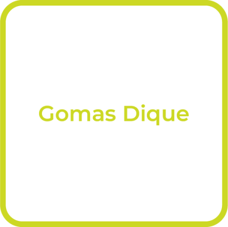 Endo_Goma_Dique