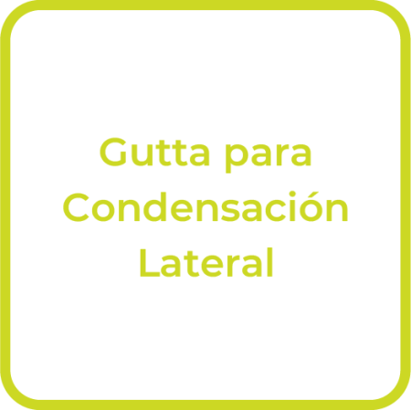 Endo_Gutta_Lateral