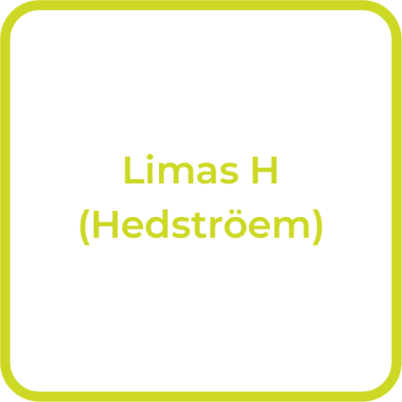 Endo_Limas_H