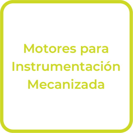 Endo_Motores_Inst_Mecanizada