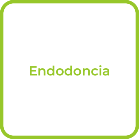 Equi_Endodoncia