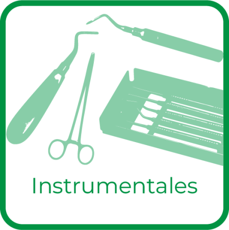 InstrumentalesN