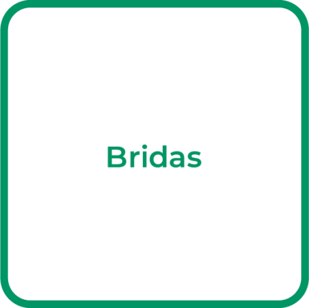 Lab_Bridas