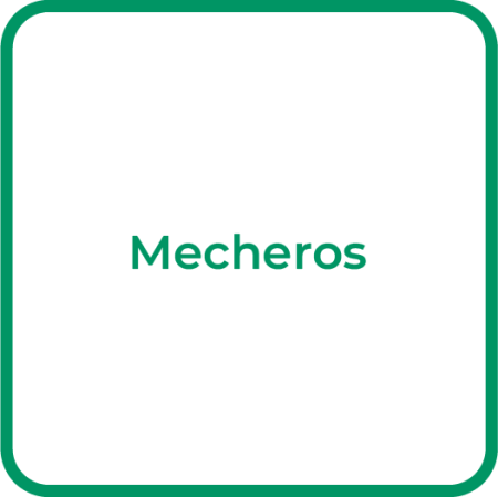 Lab_Mecheros