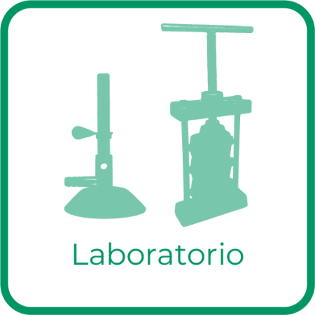 LaboratorioN