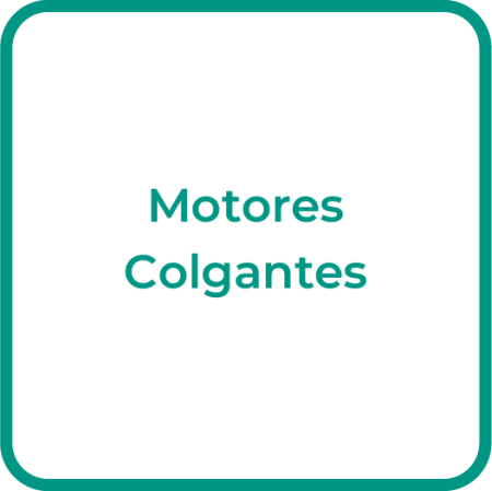 Maq_Motores_Colgantes