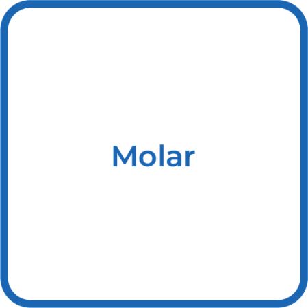 Oper_Molar2