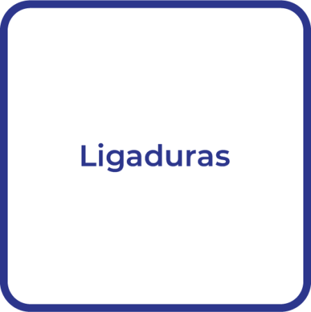 Orto_Ligaduras