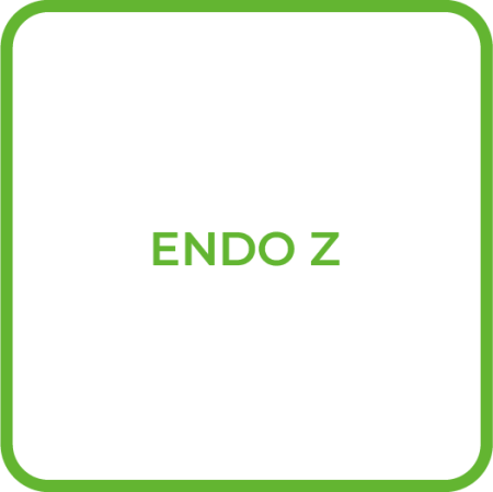 Pied_Endo_Z