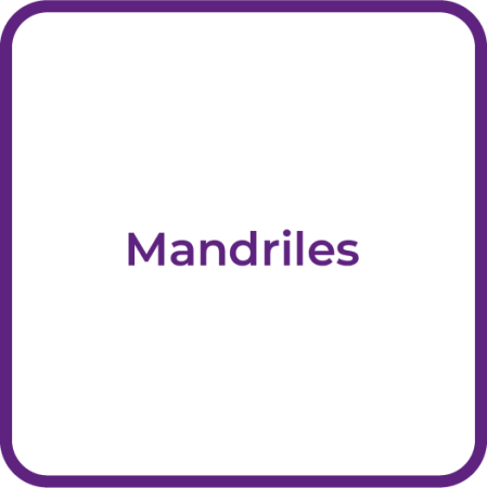 Puli_Mandriles