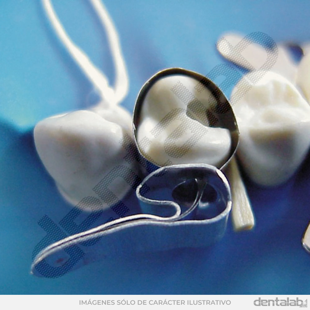 Matriz de Acero TDV • MOLAR • con Sistema de Fijación • Paq. x 20 Und.