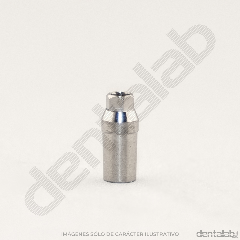 Pilar Recto Altura 1 - Ø3,0 HI