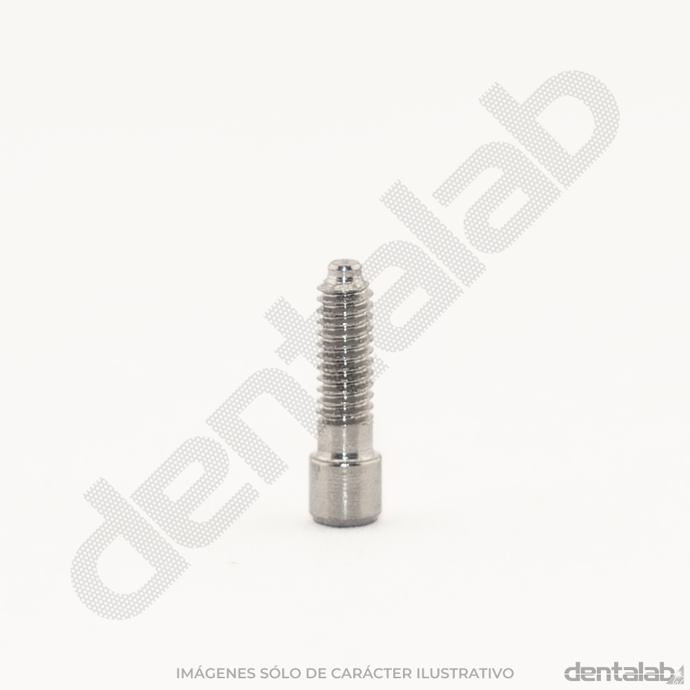 Tornillo M:2 0,48 Hexagonal HE
