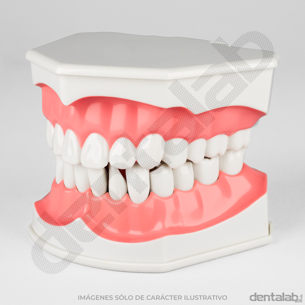 MacroModelo Plástico para Cepillado