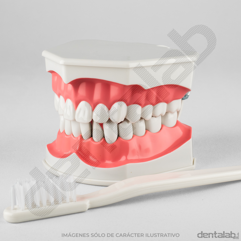 MacroModelo Plástico para Cepillado